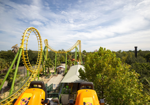 Exploring Amusement Parks: Outdoor Activities for the Family